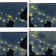 Illustration for article titled The Coolest Science Stories You May Have Missed in 2015